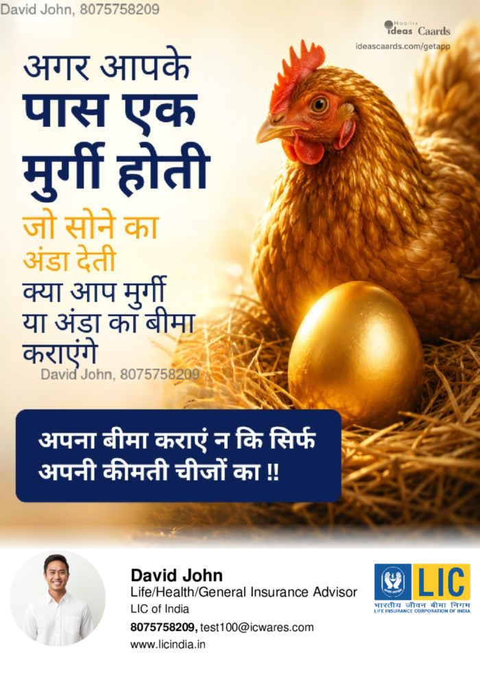 Insure Egg?