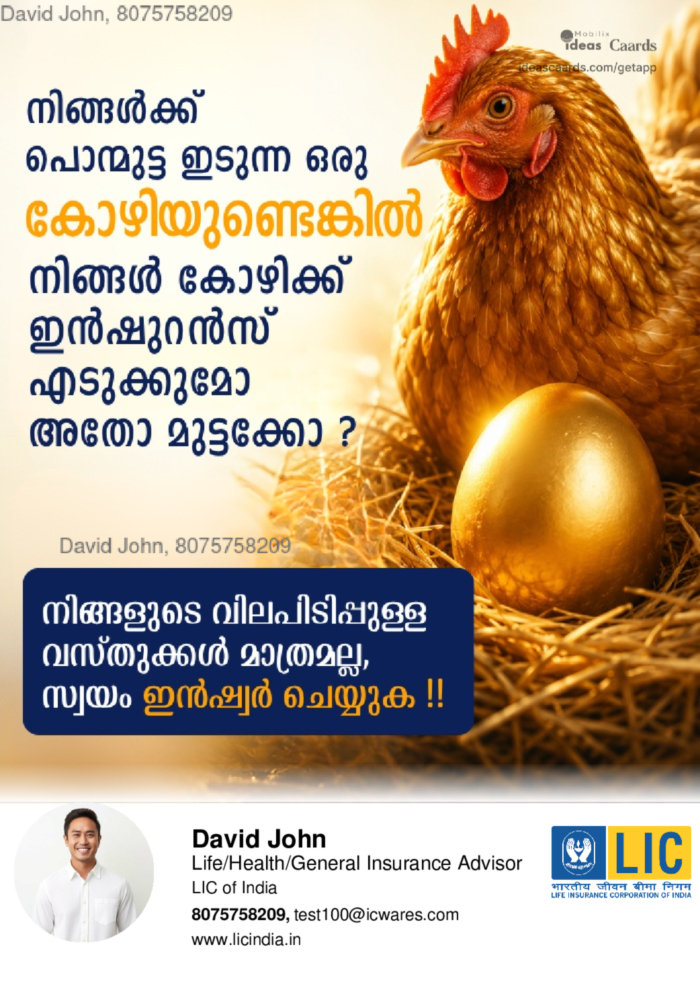 Insure Egg?