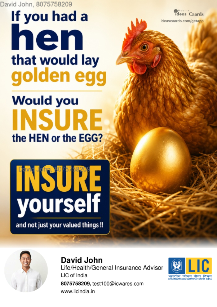 Insure Egg?