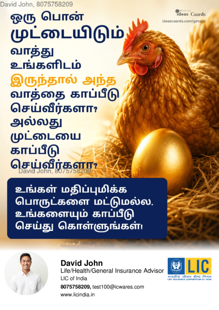 Insure Egg?